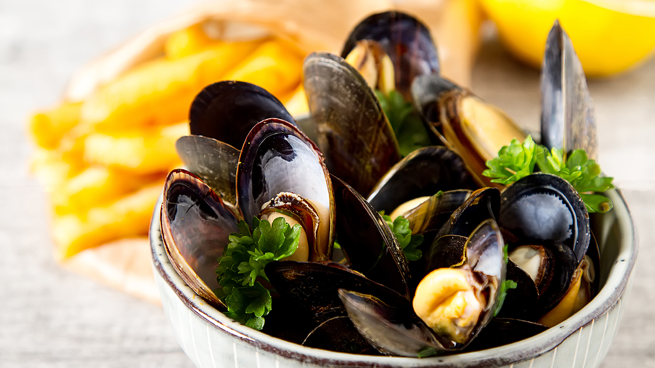 Mussels