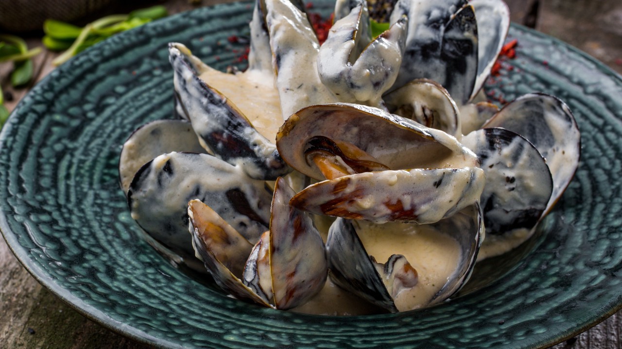Grilled Hake With Chorizo, Mussels & Cream Sauce